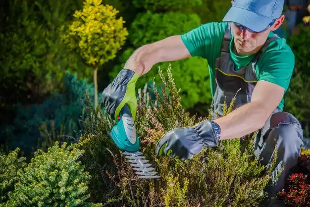 landscaping services Melrose